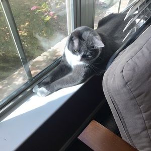 Meet your Posher, Romana